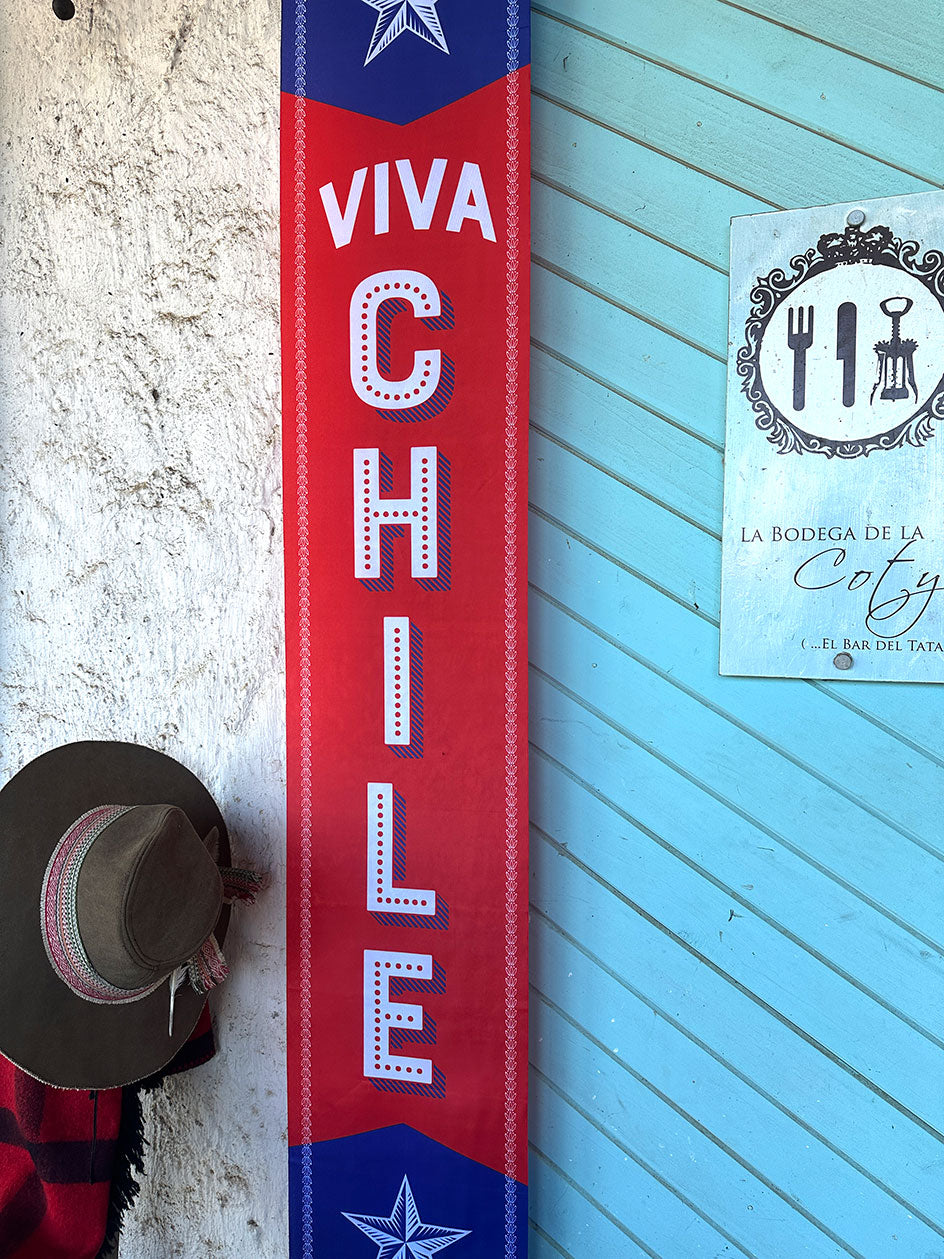 Banner Viva Chile