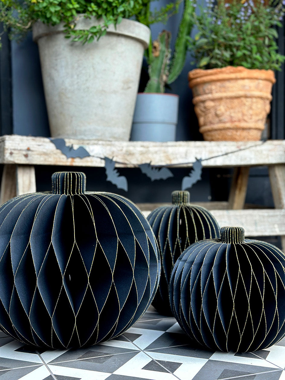 Honeycomb · Calabazas XL Negro