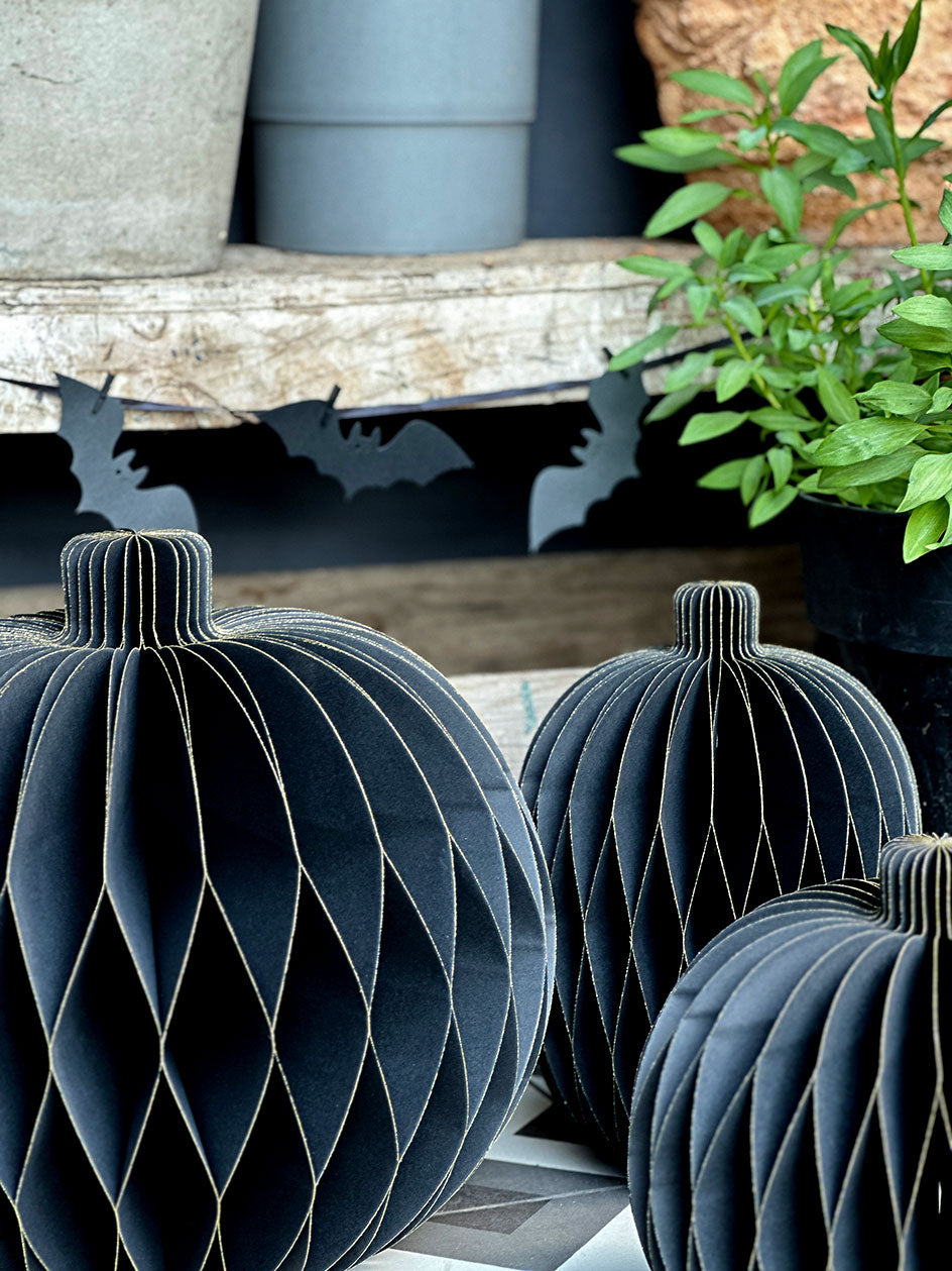 Honeycomb · Calabazas XL Negro