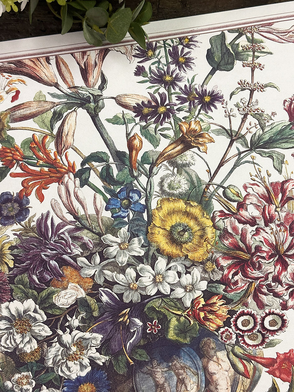 IC · Still Life (3 un.)