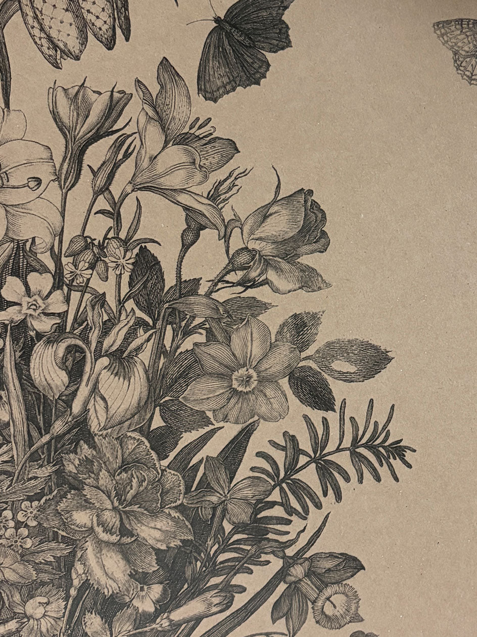 Individual Kraft · Still