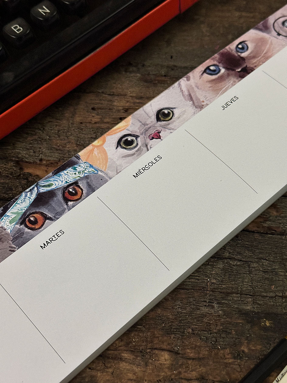 Organizador S Semanal · Gatos