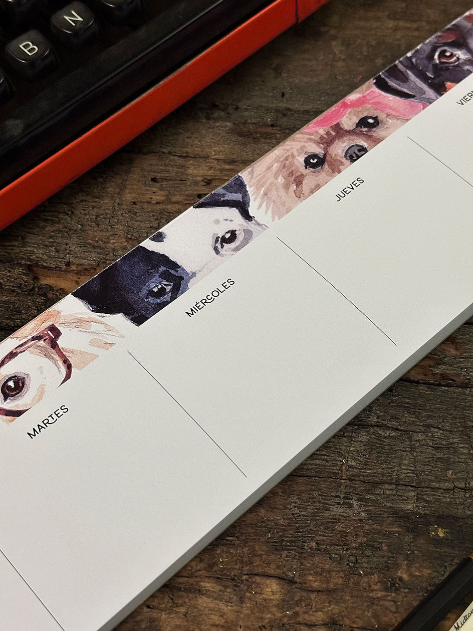 Organizador S Semanal · Perros