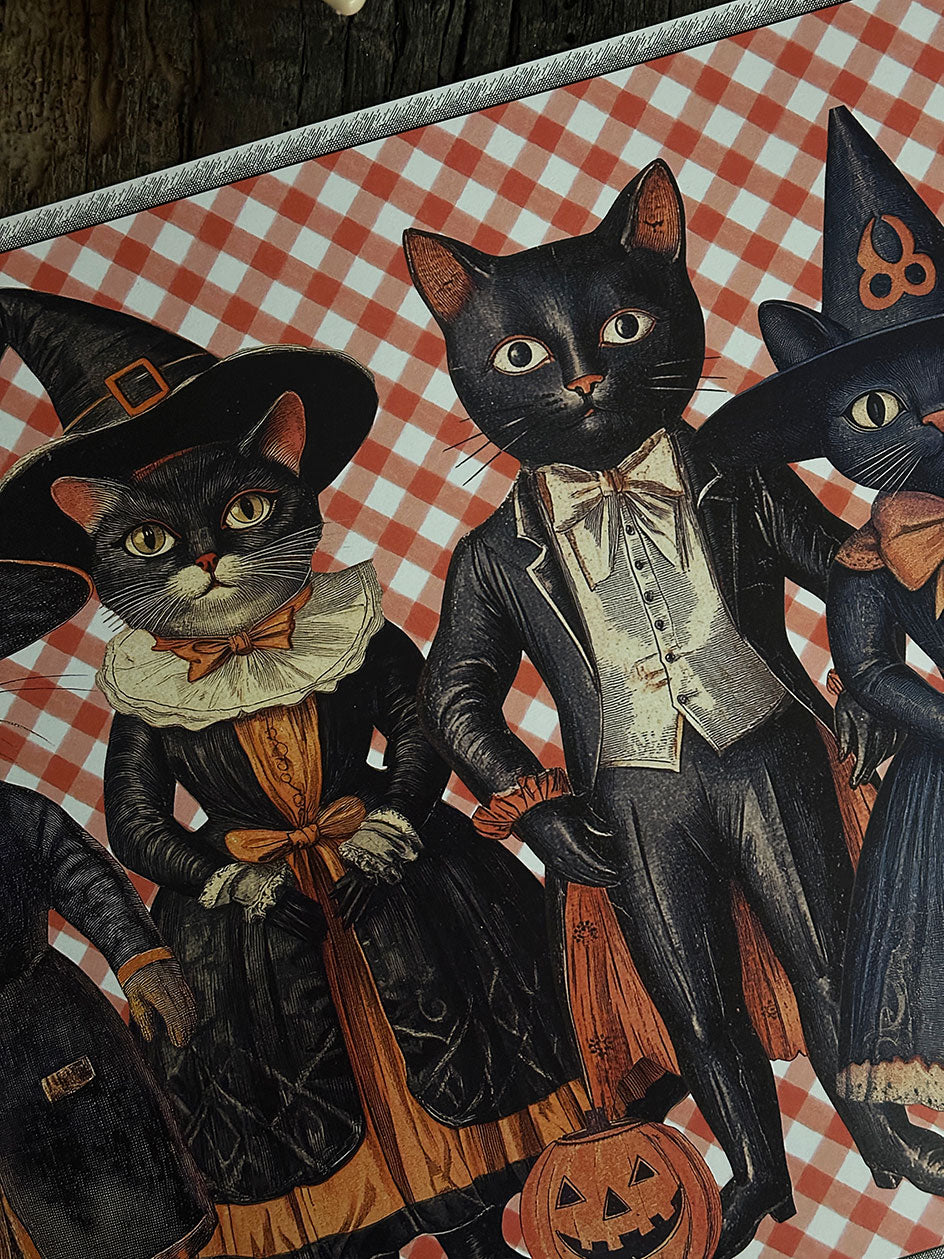 Pack · Salem