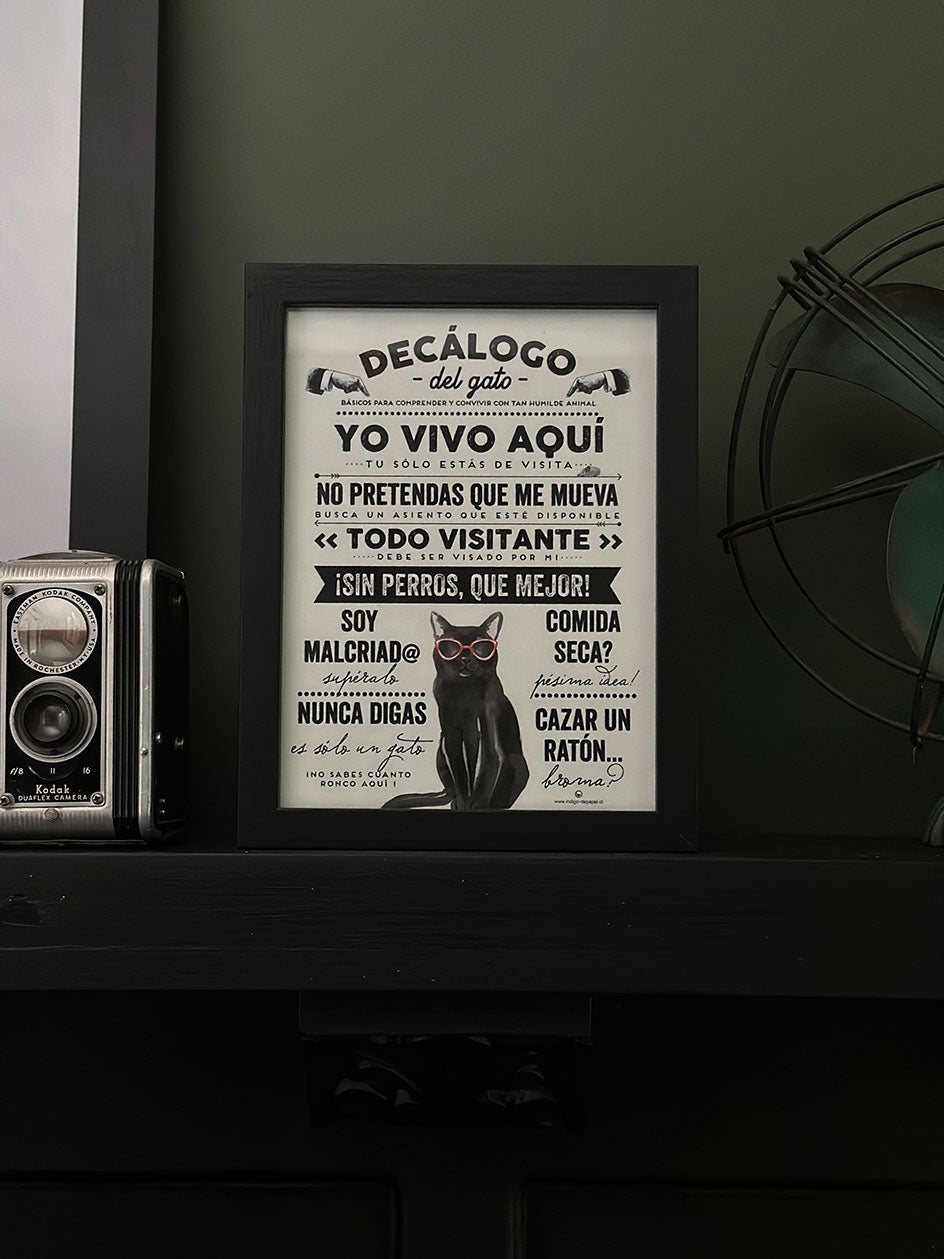 Print Indigo S · Gatos