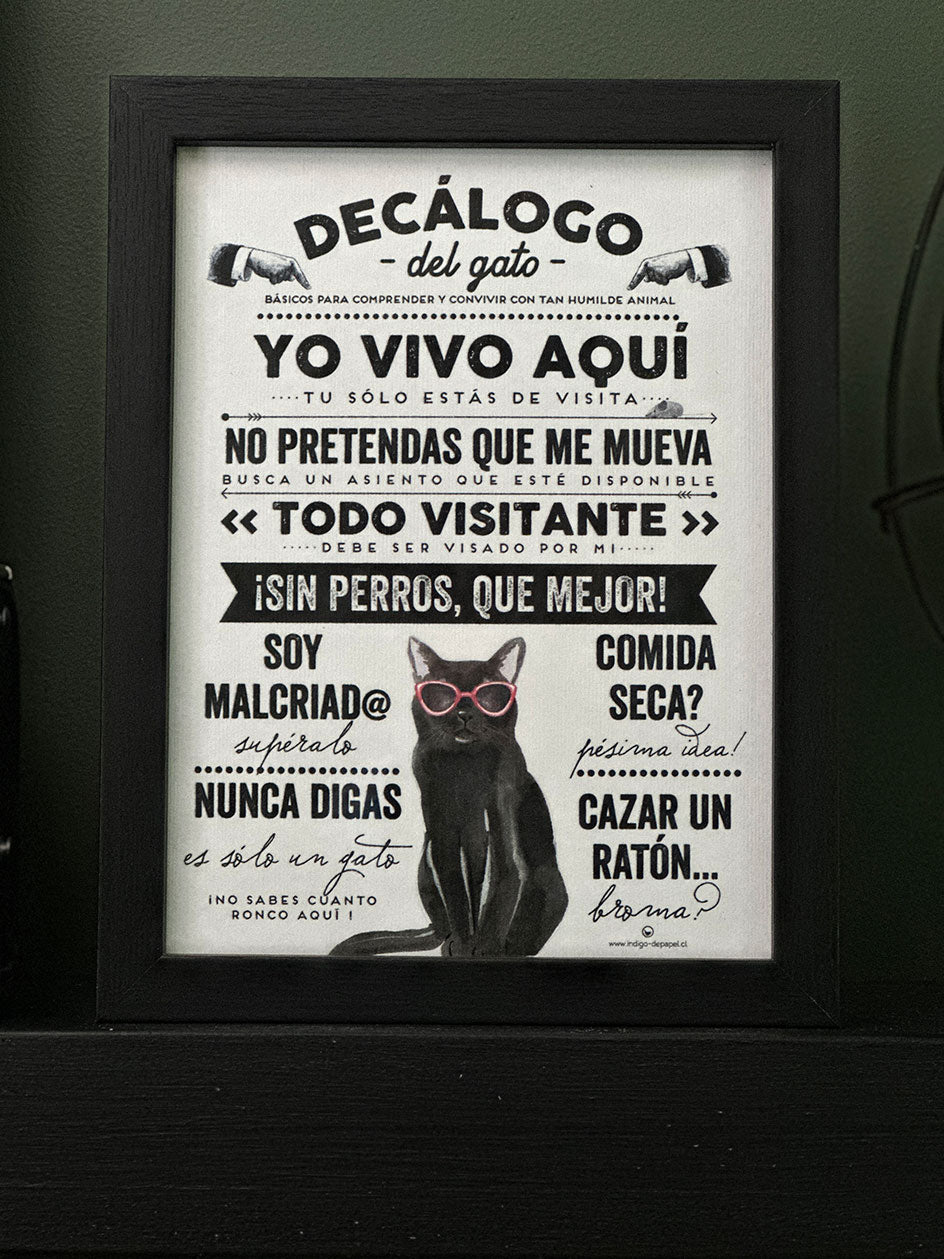 Print Indigo S · Gatos