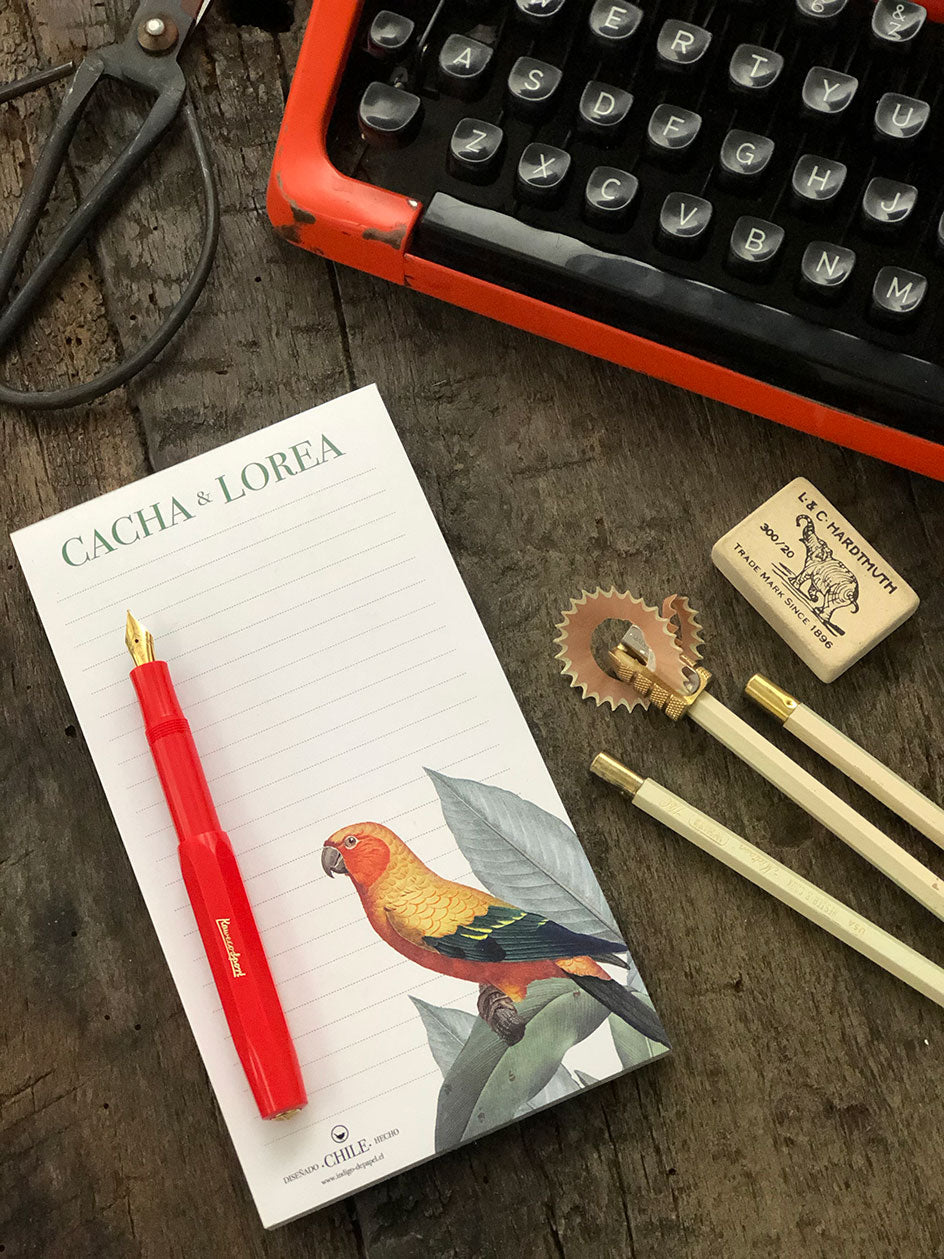 Taco Mediano · Cacha y Lorea