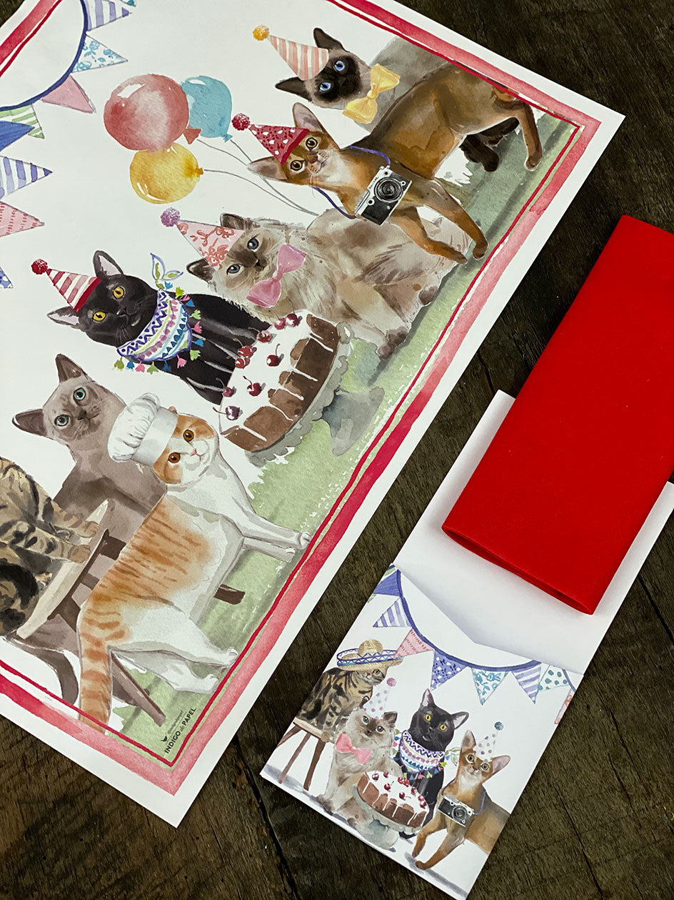 Pack · Gatos