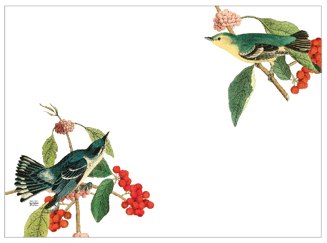 Individual Blanco Pájaros Frutos