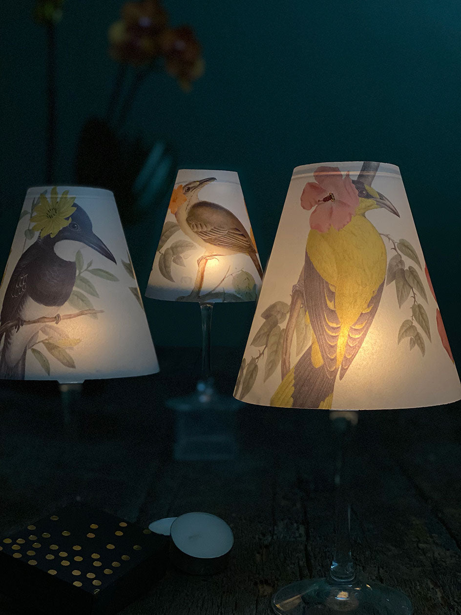 Tifani Pájaros Flores