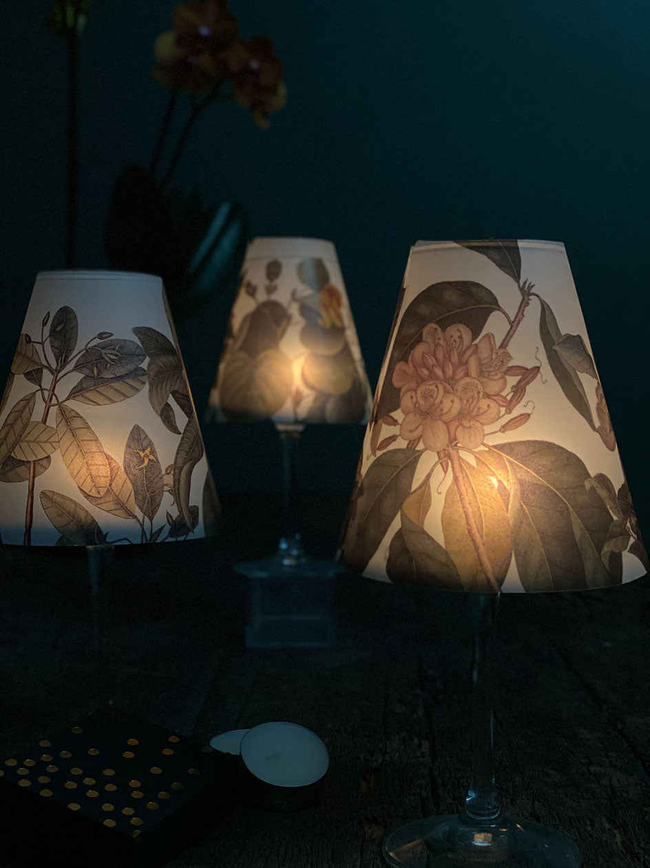 Tifani Plato Botánico