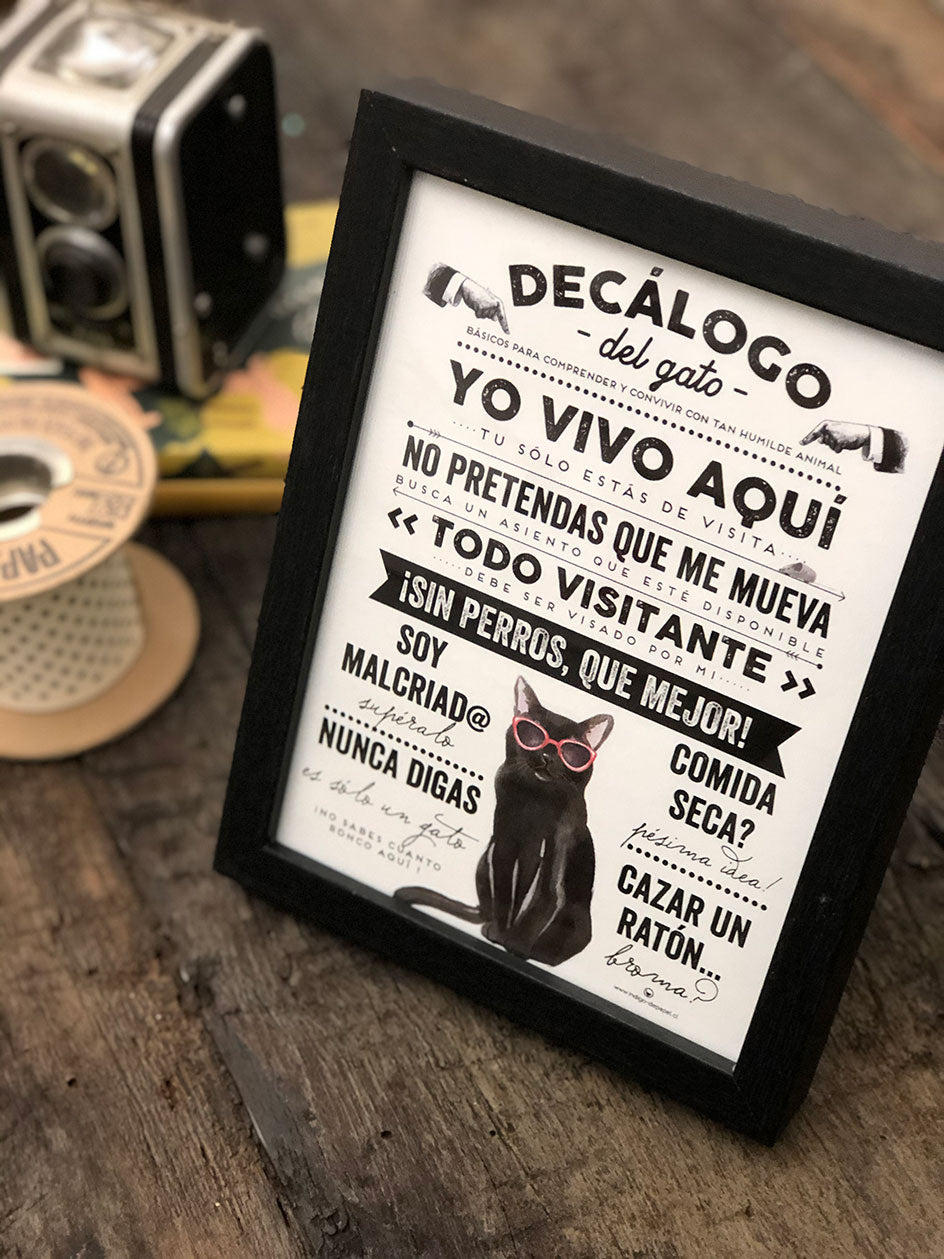 Print Indigo S · Gatos