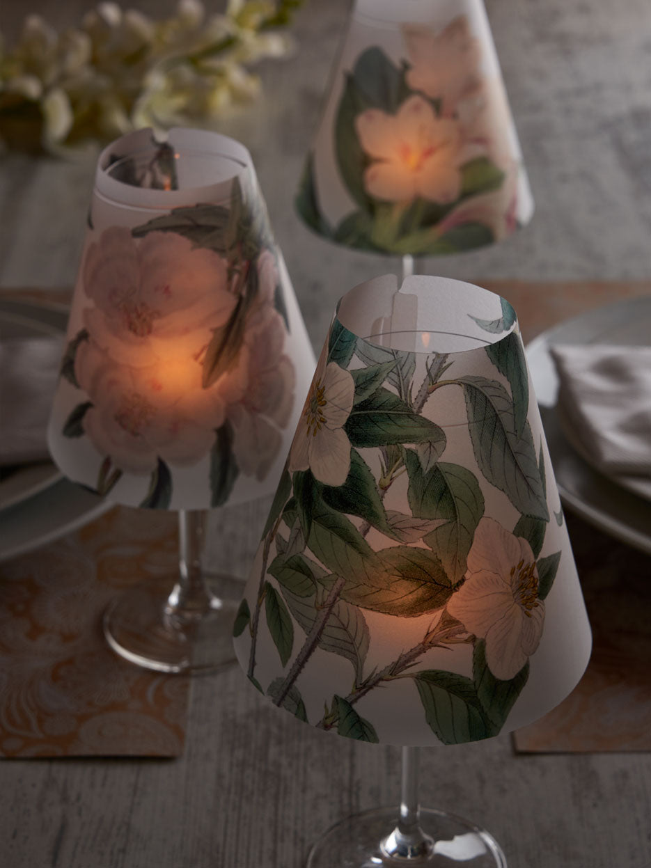 Tifani Flores Blancas