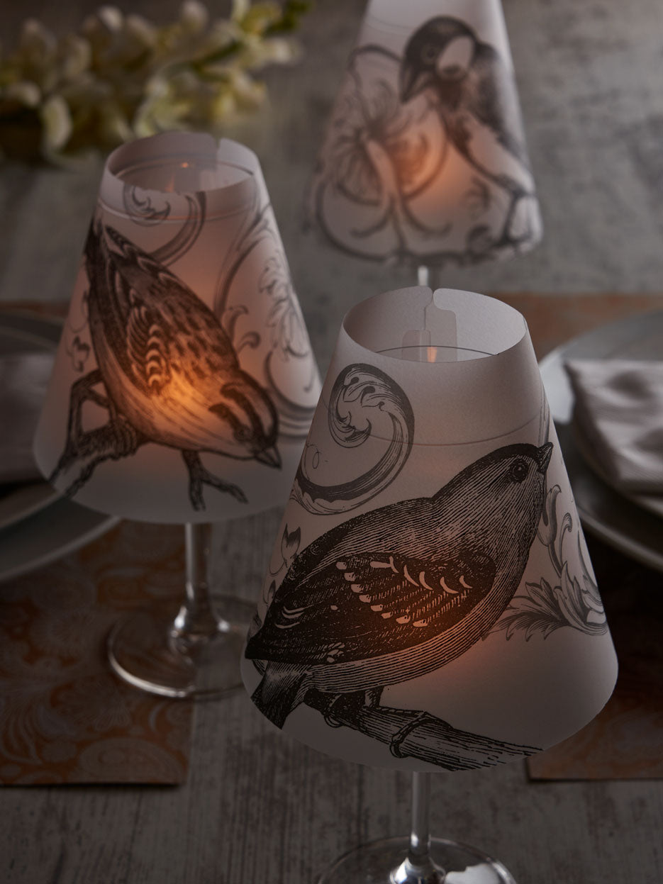 Tifani Greca Pájaros