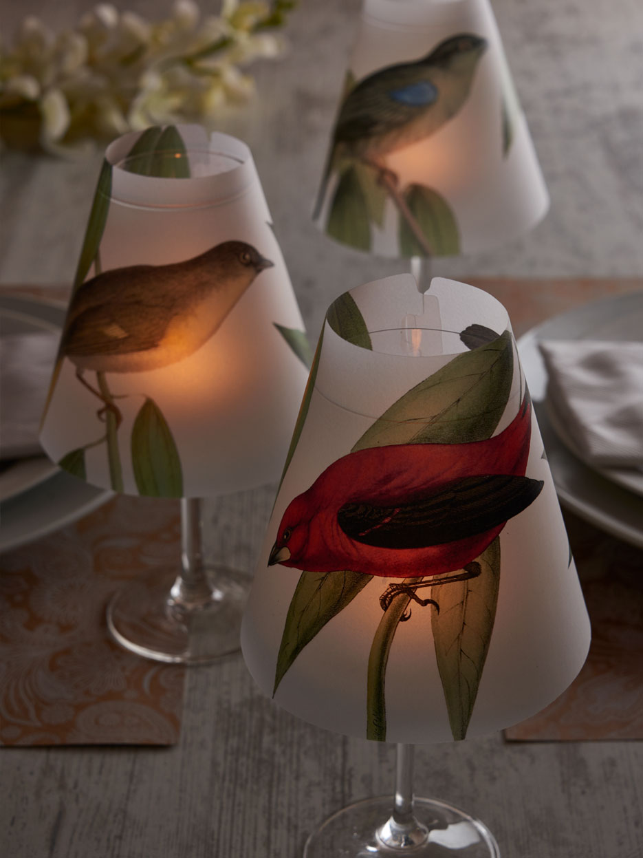 Tifani Pájaros Color