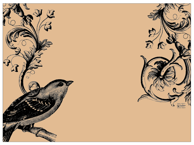 Individual Kraft · Greca 2 Gorrión