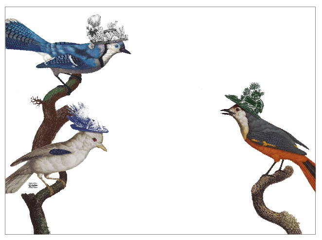 Individual Blanco Pájaros Sombreros