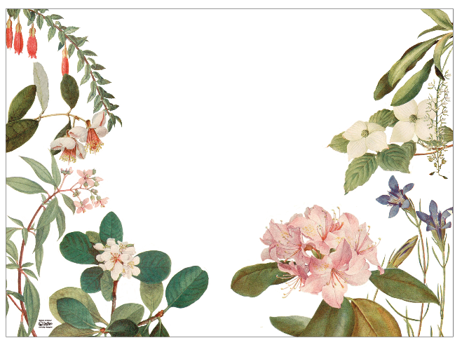 Individual Blanco Rododendro