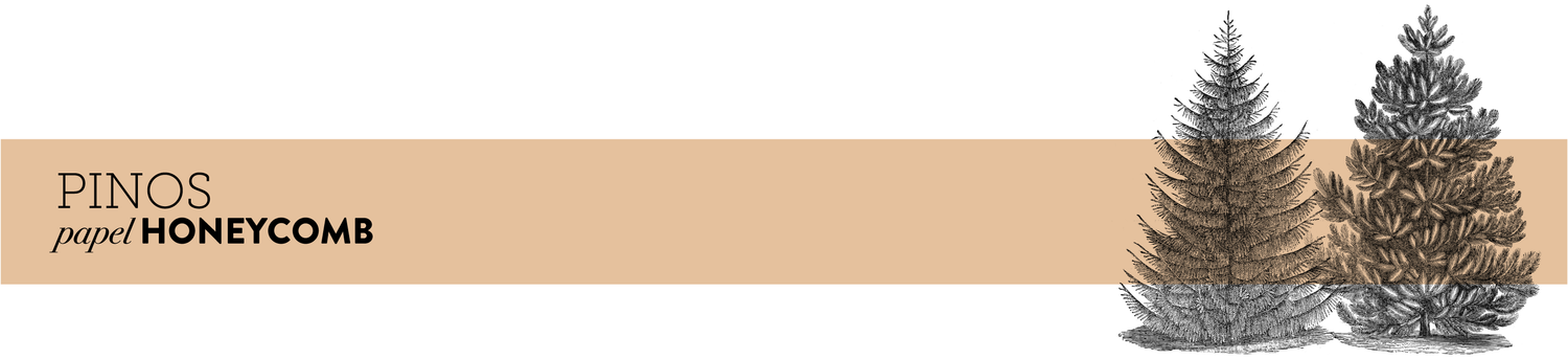 Pinos Papel Honeycomb