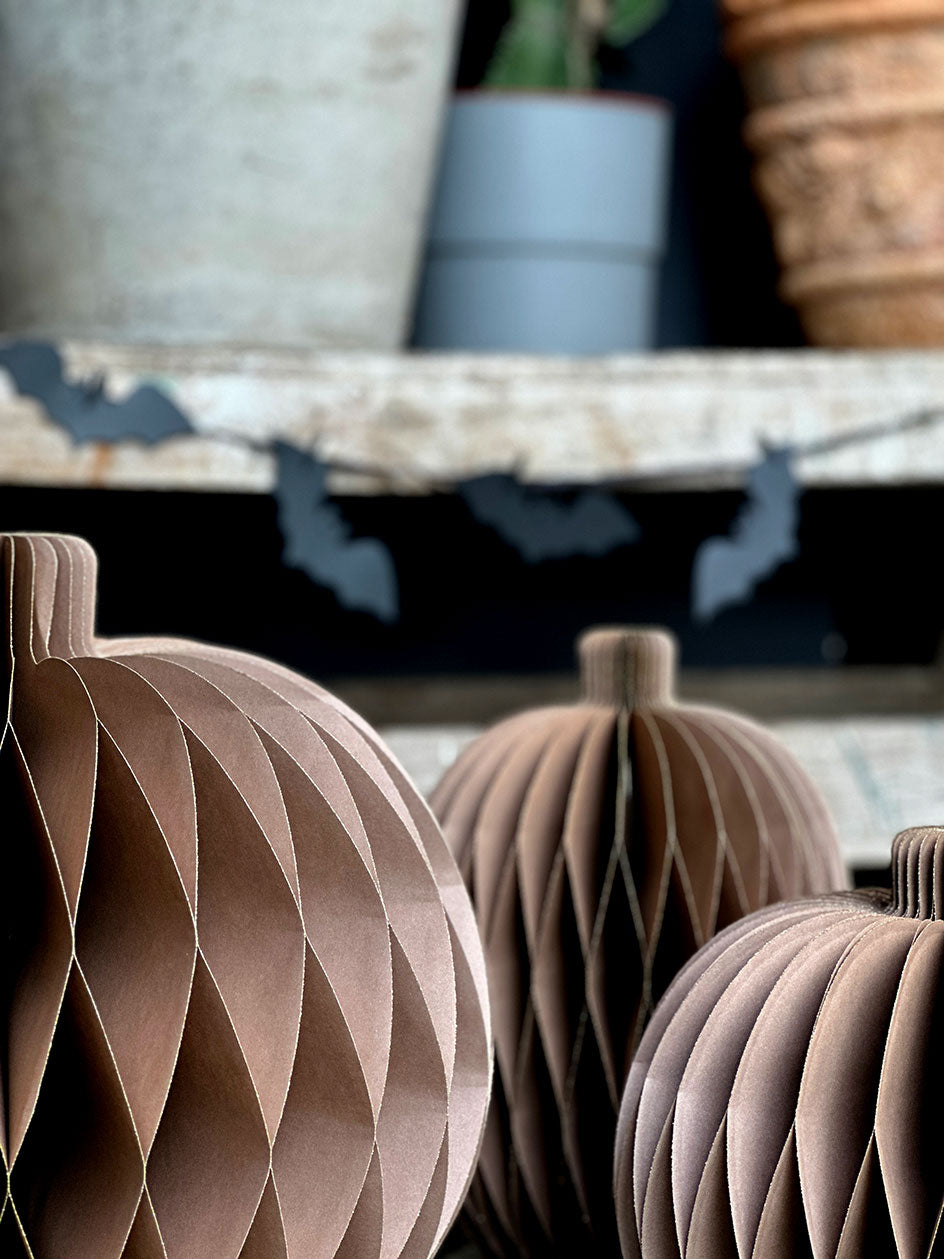 Honeycomb · Calabazas XL Camel