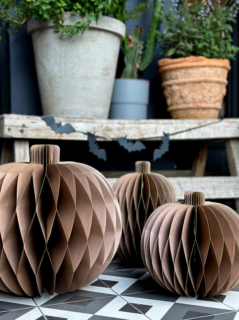 Honeycomb · Calabazas XL Camel