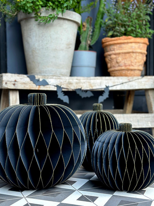 Honeycomb · Calabazas XL Negro