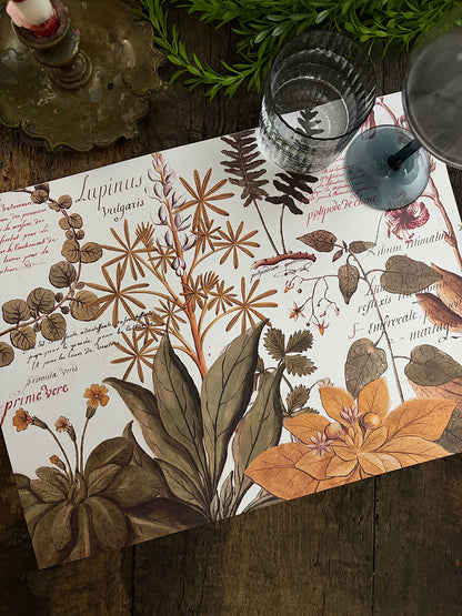 Individual Blanco · Botánica