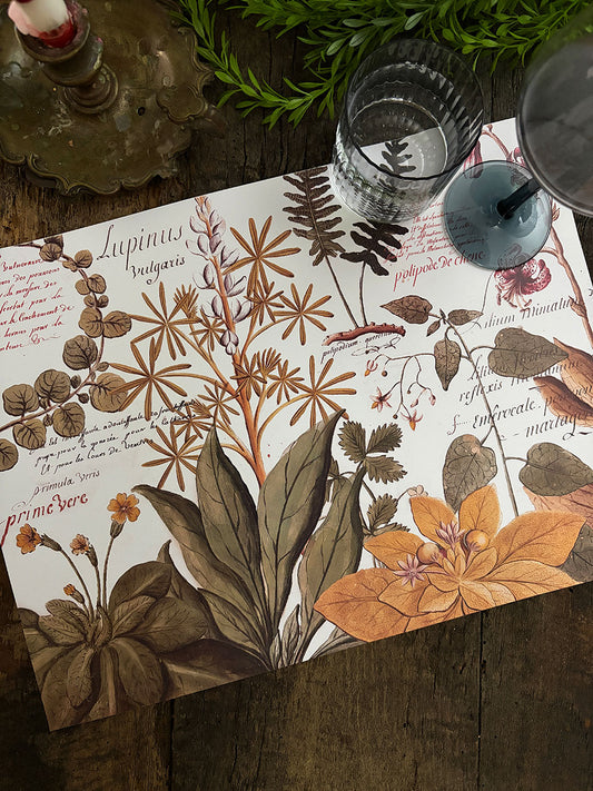 Individual Blanco · Botánica