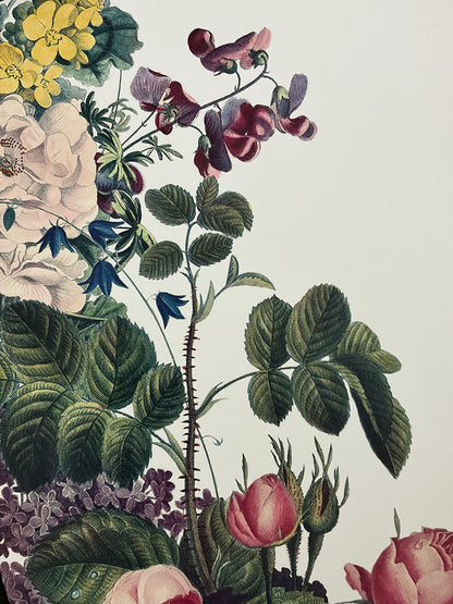 Individual Blanco · Lila