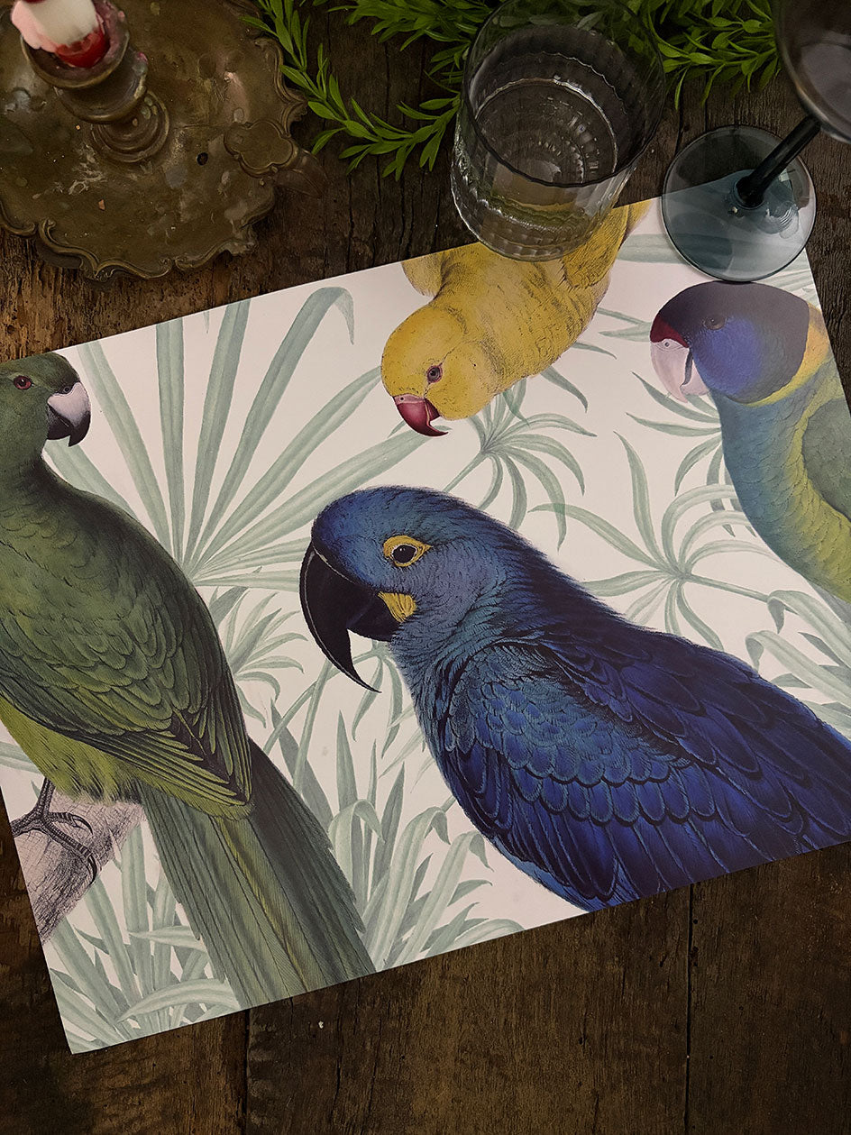 Individual Blanco · Loros Color