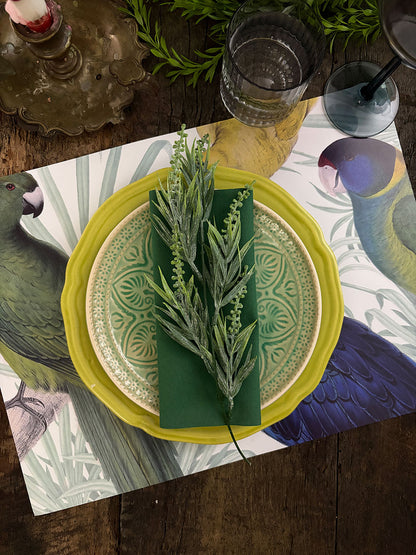 Individual Blanco · Loros Color