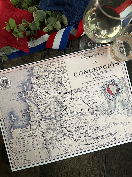 Individual Blanco · Mapa Concepción