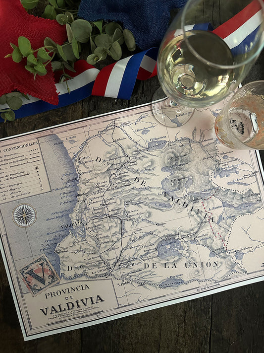 Individual Blanco · Mapa Valdivia