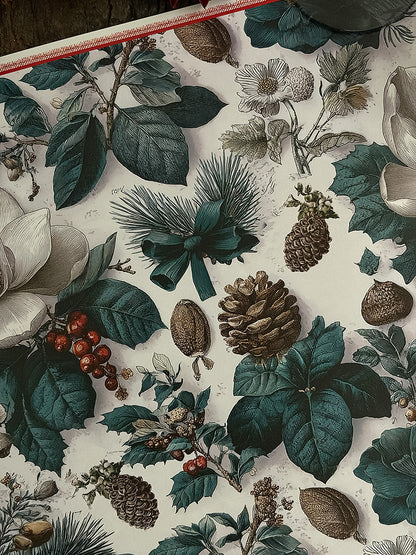 Pack · Magnolio