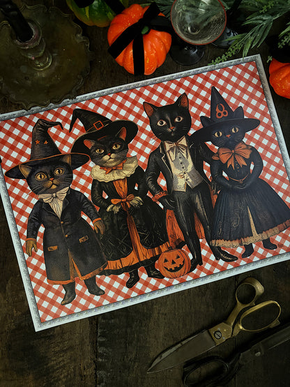 Pack · Salem
