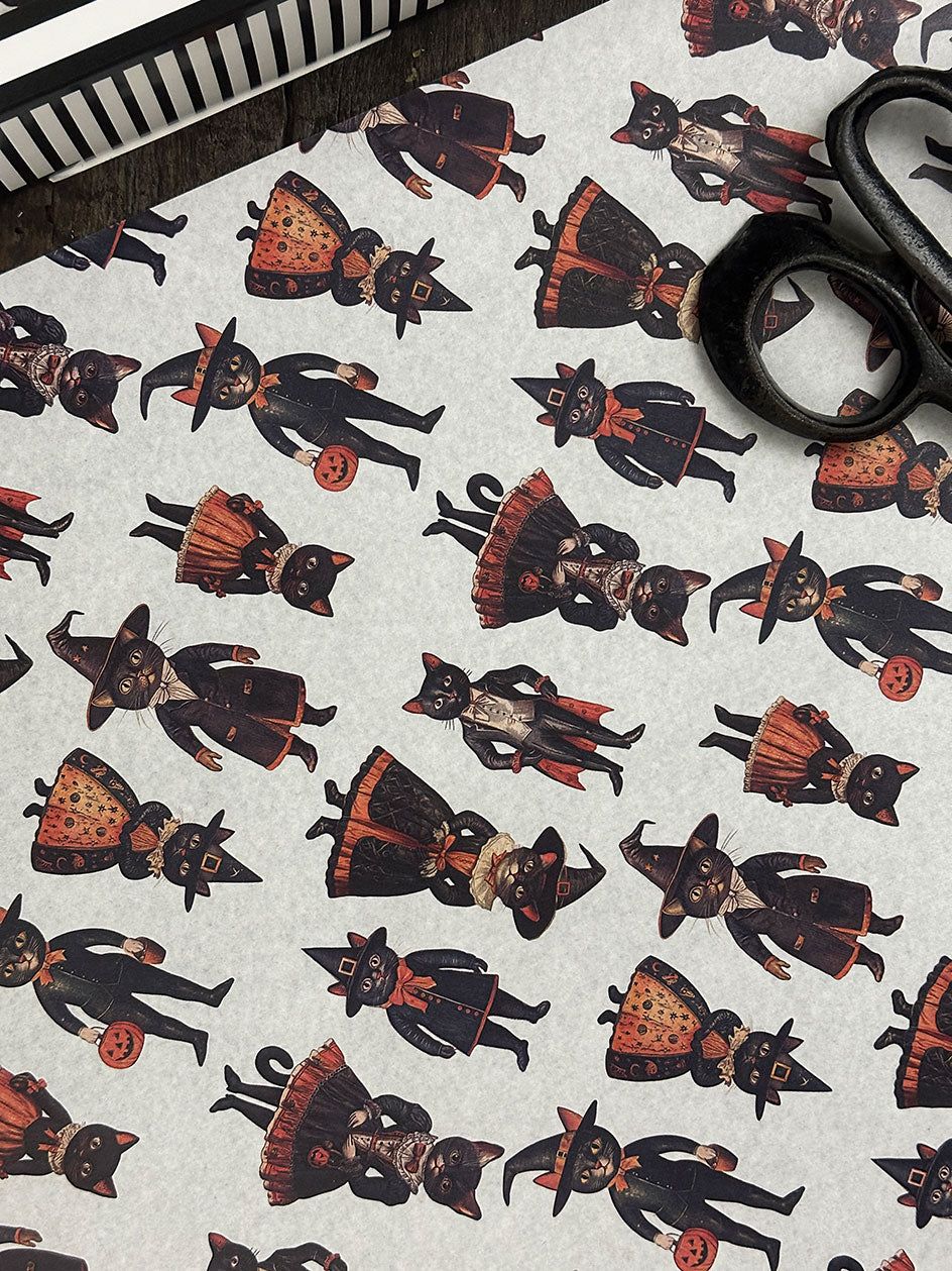 Papel Mantequilla · Salem