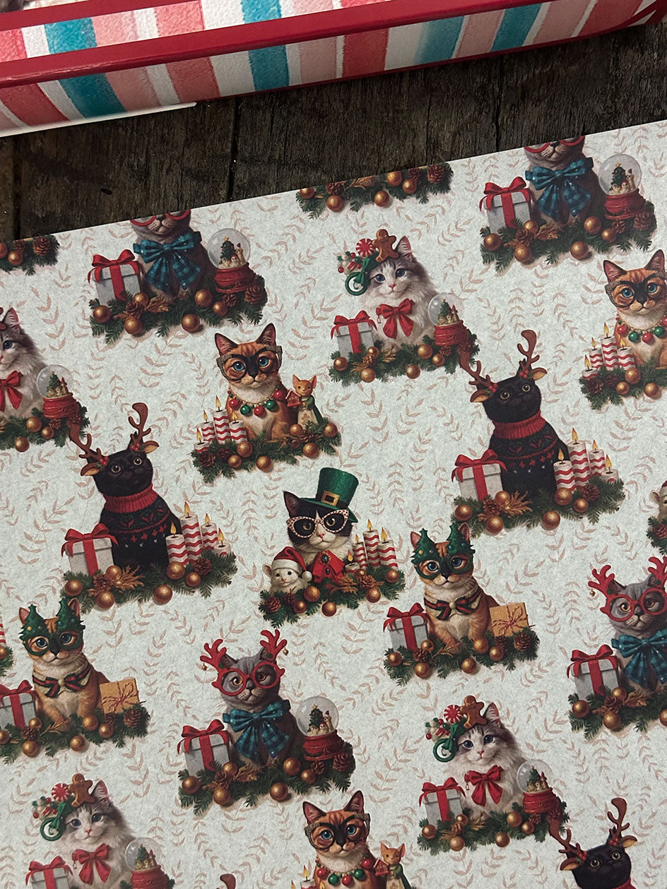 Papel Mantequilla · Gatos