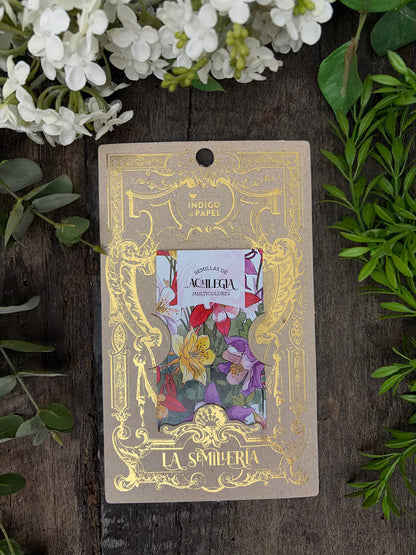 Semillas · Aquilegia