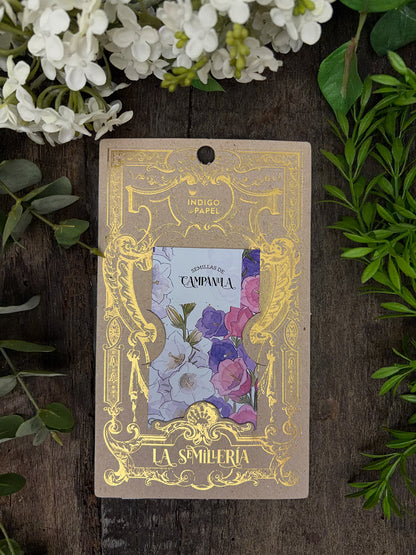 Semillas · Campánula