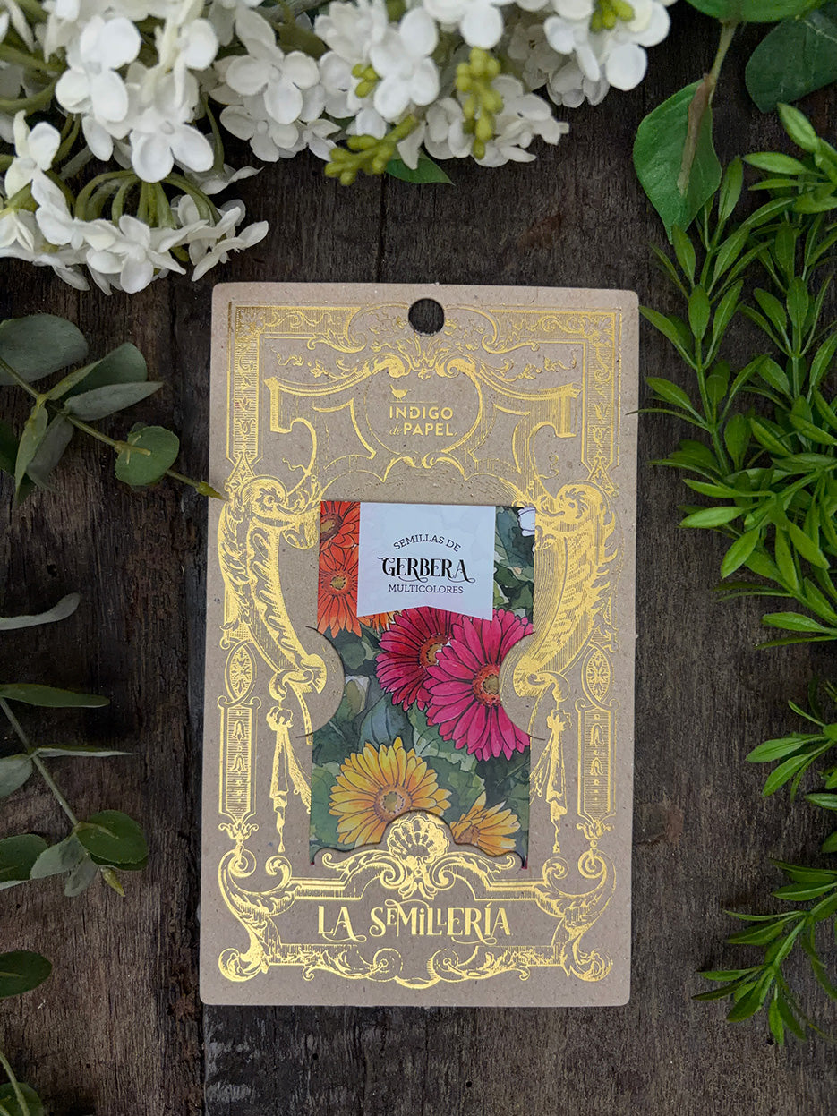 Semillas · Gerbera