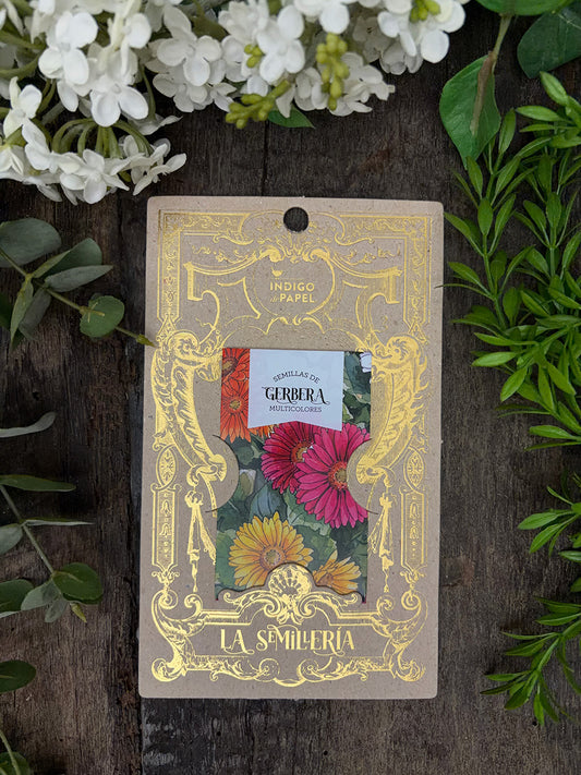 Semillas · Gerbera