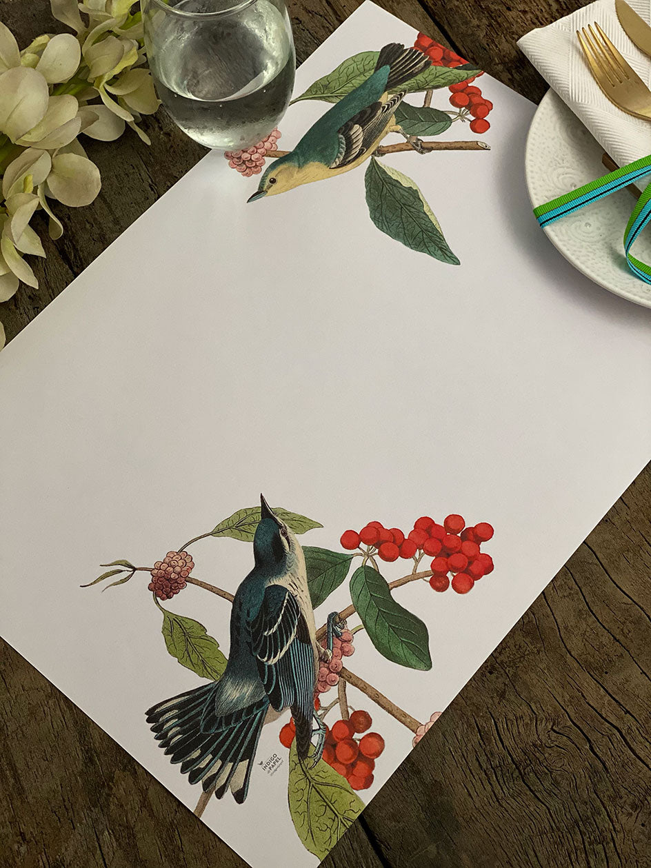 Individual Blanco · Pájaros Frutos