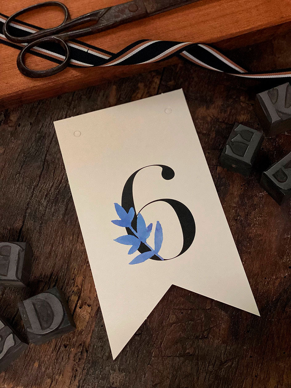 Número 6