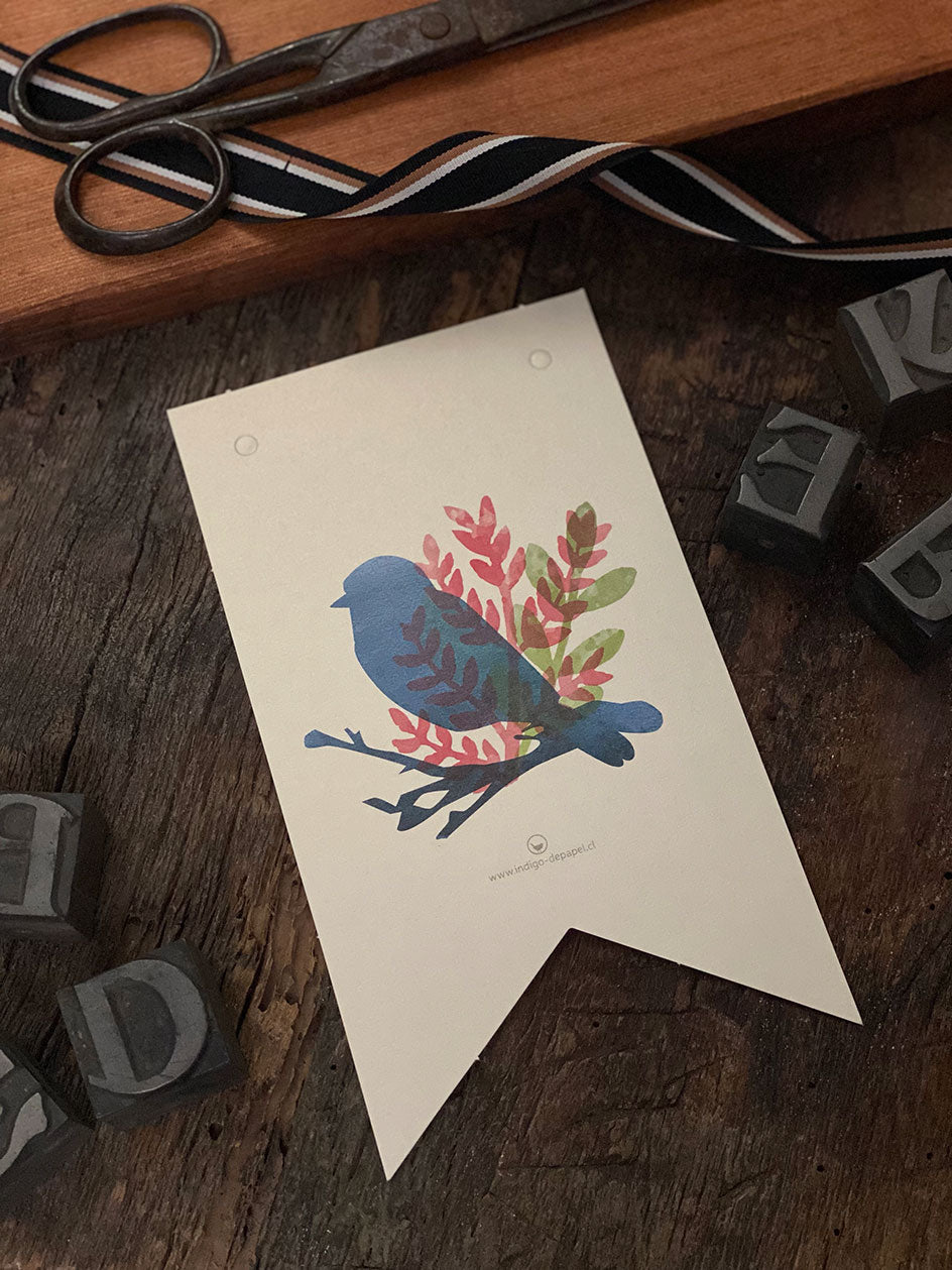Pajarito Azul