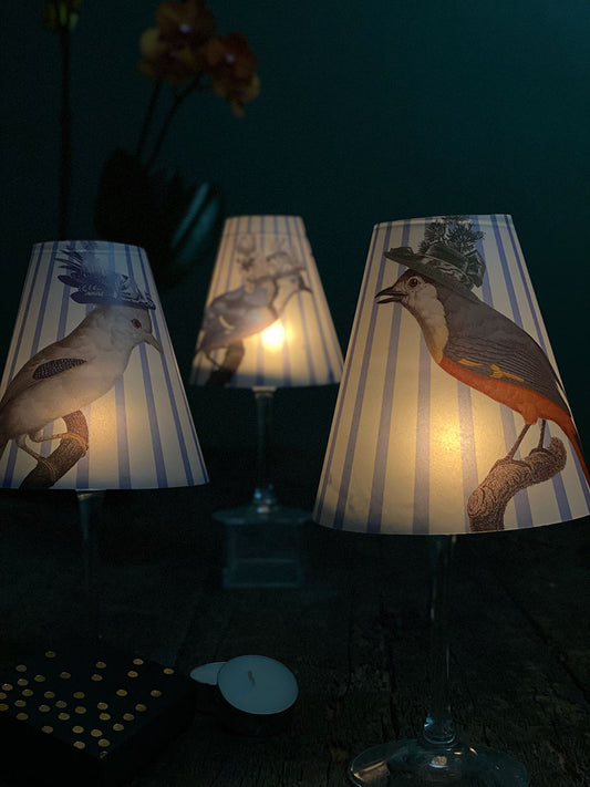 Tifani Pájaros Sombreros
