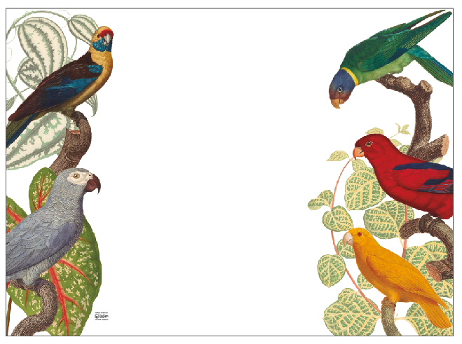 Individual Blanco Loros Color