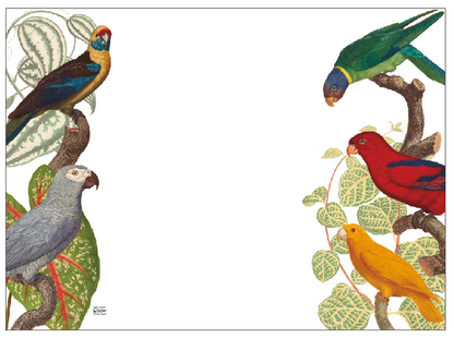 Individual Blanco Loros Color